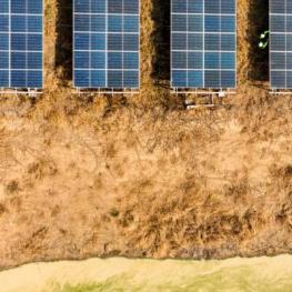 Soft to medium-firm grounds